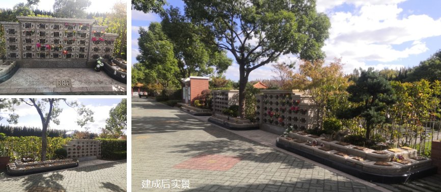 ��ҳ - ���ɱ����ǹ��ʹٷ���վ