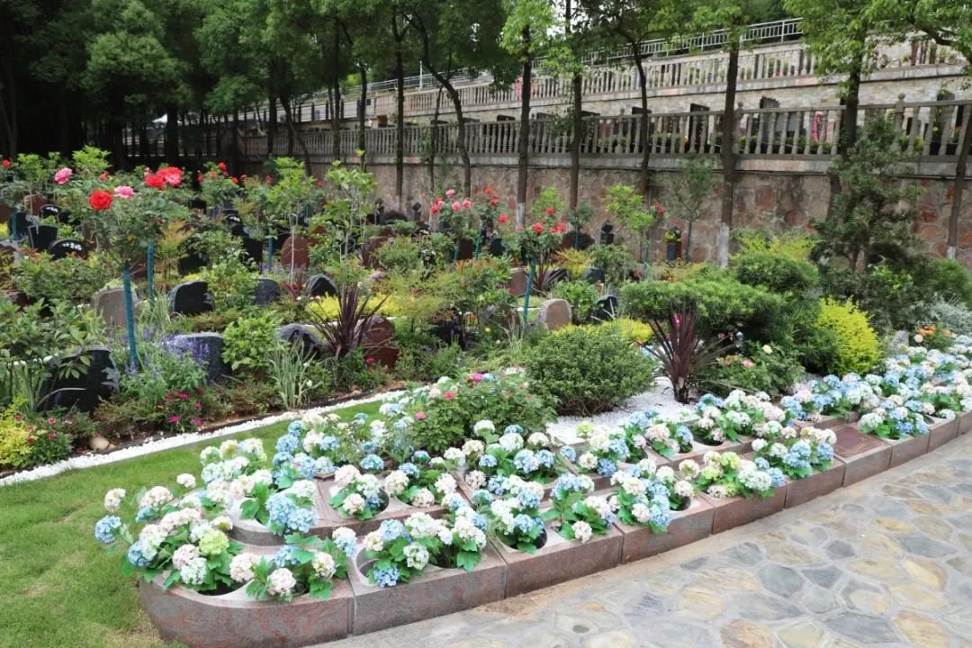 ��ҳ - ���ɱ����ǹ��ʹٷ���վ