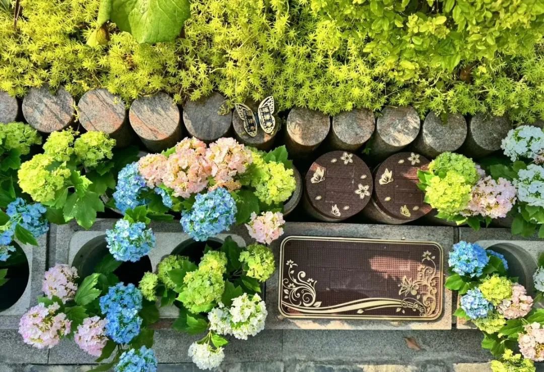 ��ҳ - ���ɱ����ǹ��ʹٷ���վ