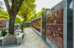 ��ɫ�����·��У�������ʽ�������Ĵ���֮·