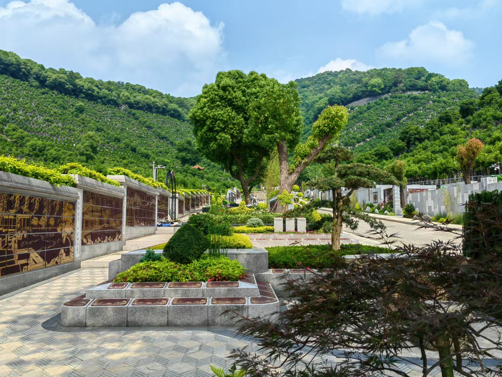 ������ɫ��̬�·���������������г��԰