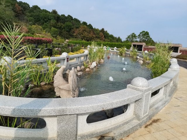 ��ҳ - ���ɱ����ǹ��ʹٷ���վ