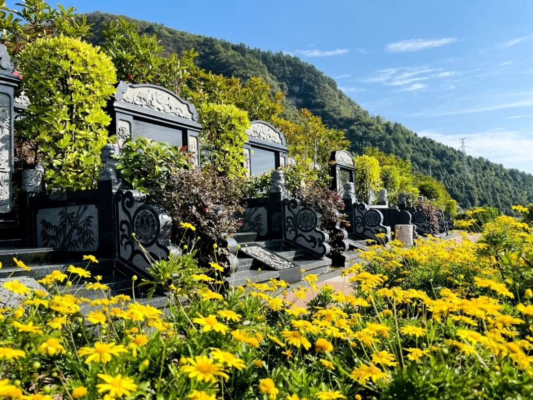 ��ҳ - ���ɱ����ǹ��ʹٷ���վ