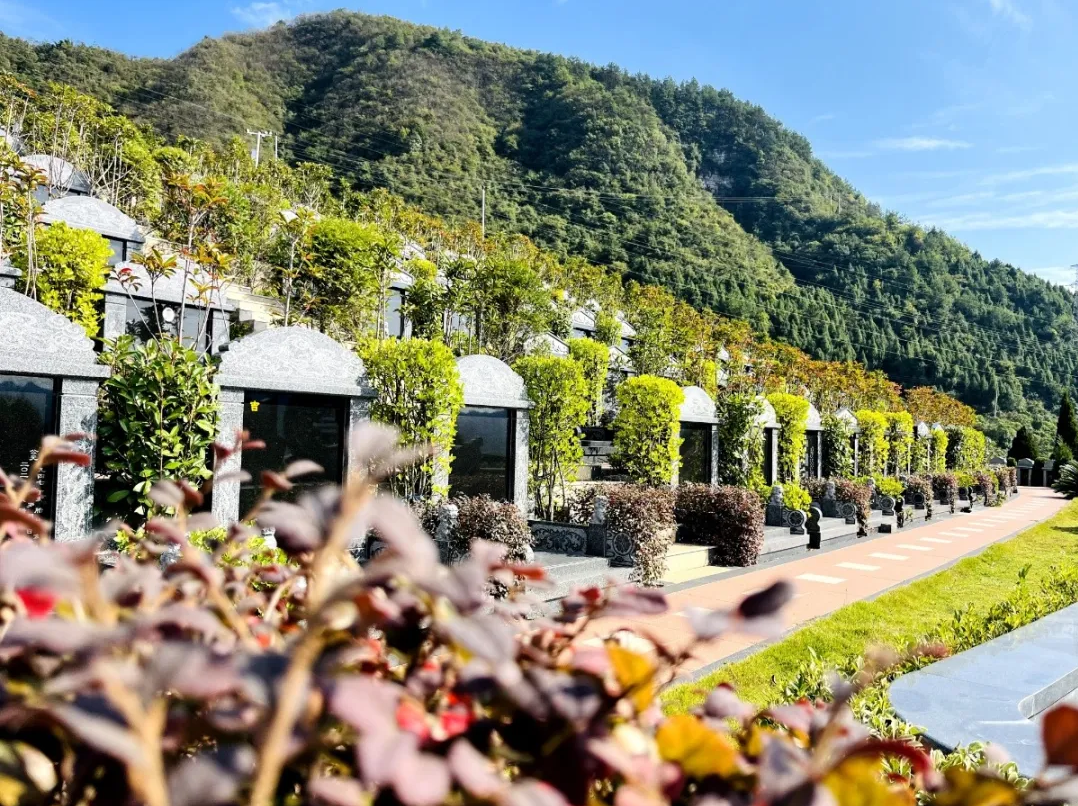 ��ҳ - ���ɱ����ǹ��ʹٷ���վ