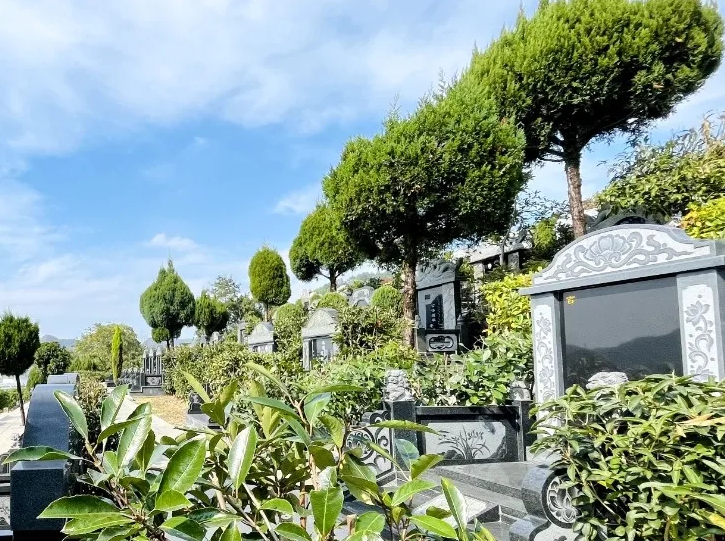 ��ҳ - ���ɱ����ǹ��ʹٷ���վ