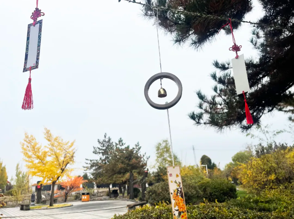 ��ҳ - ���ɱ����ǹ��ʹٷ���վ