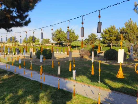 ��ҳ - ���ɱ����ǹ��ʹٷ���վ