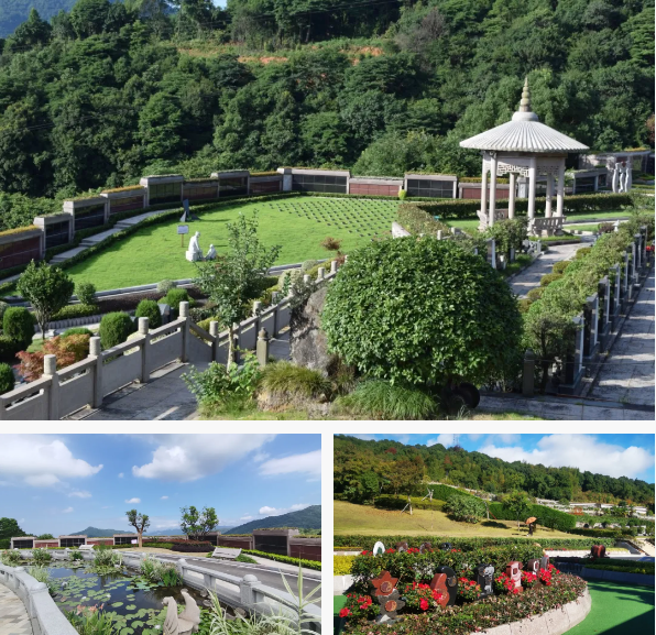 ��ҳ - ���ɱ����ǹ��ʹٷ���վ