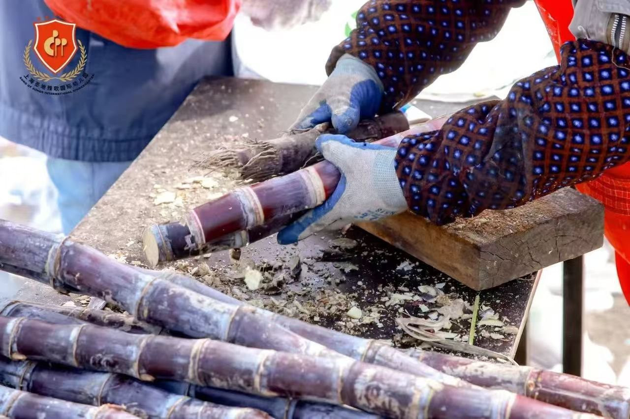 ��ҳ - ���ɱ����ǹ��ʹٷ���վ