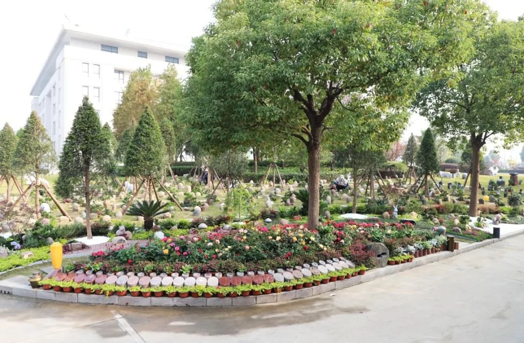 ��ҳ - ���ɱ����ǹ��ʹٷ���վ