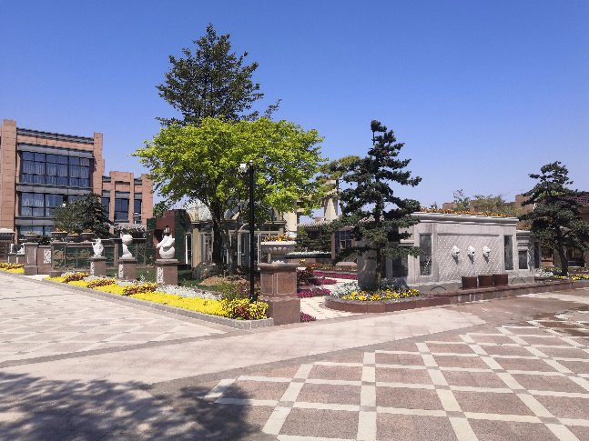 ��ҳ - ���ɱ����ǹ��ʹٷ���վ