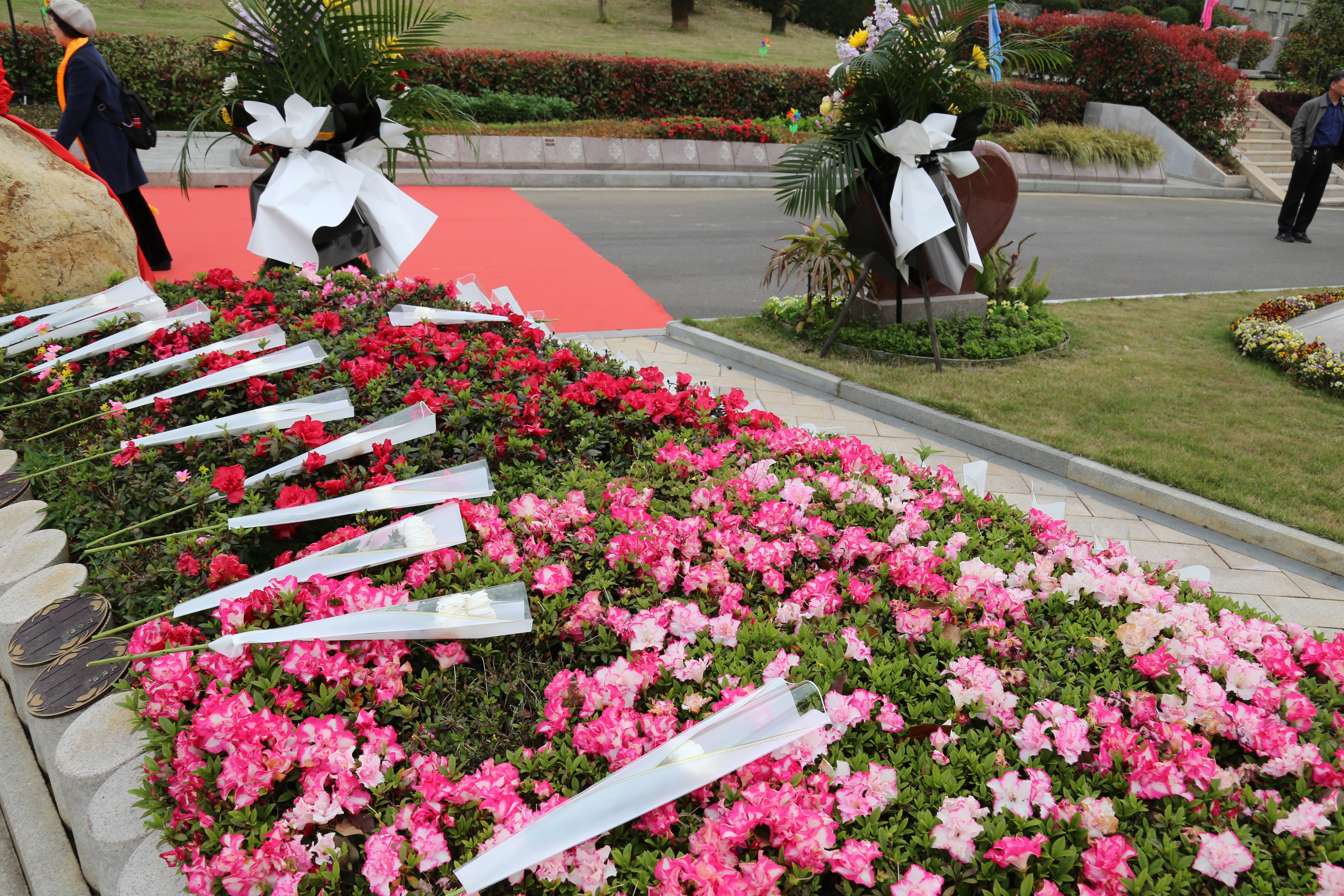 ��ҳ - ���ɱ����ǹ��ʹٷ���վ