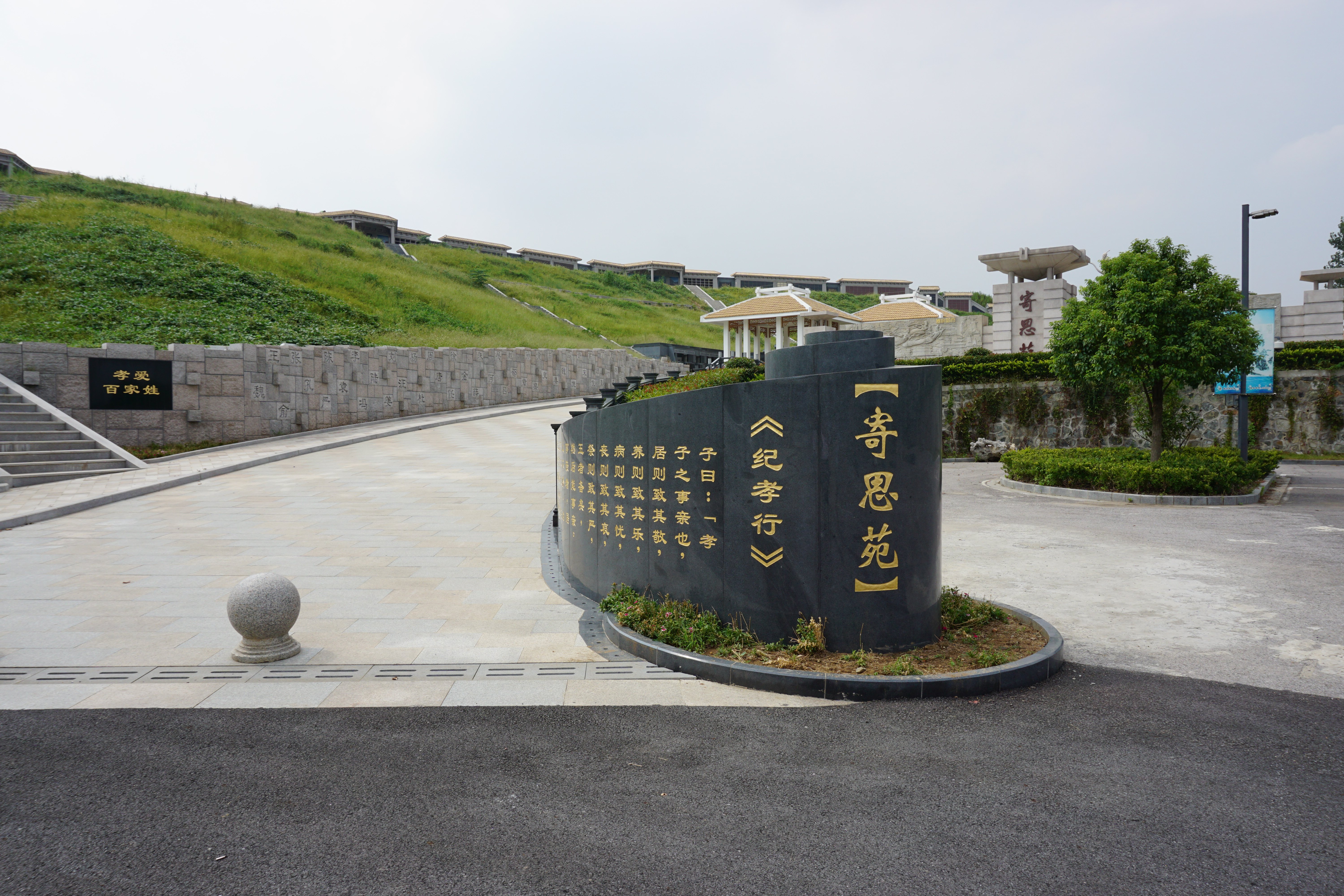 Ĺ԰���δ�����̬���ľ�����