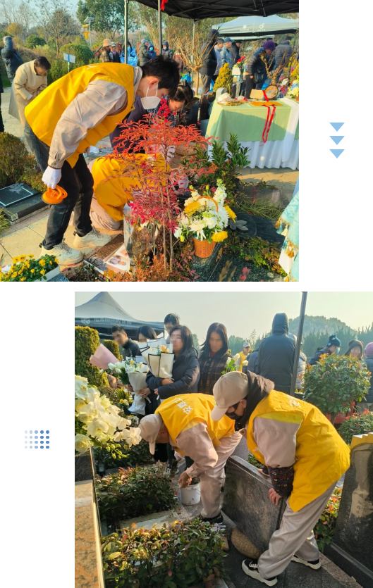 ��ҳ - ���ɱ����ǹ��ʹٷ���վ