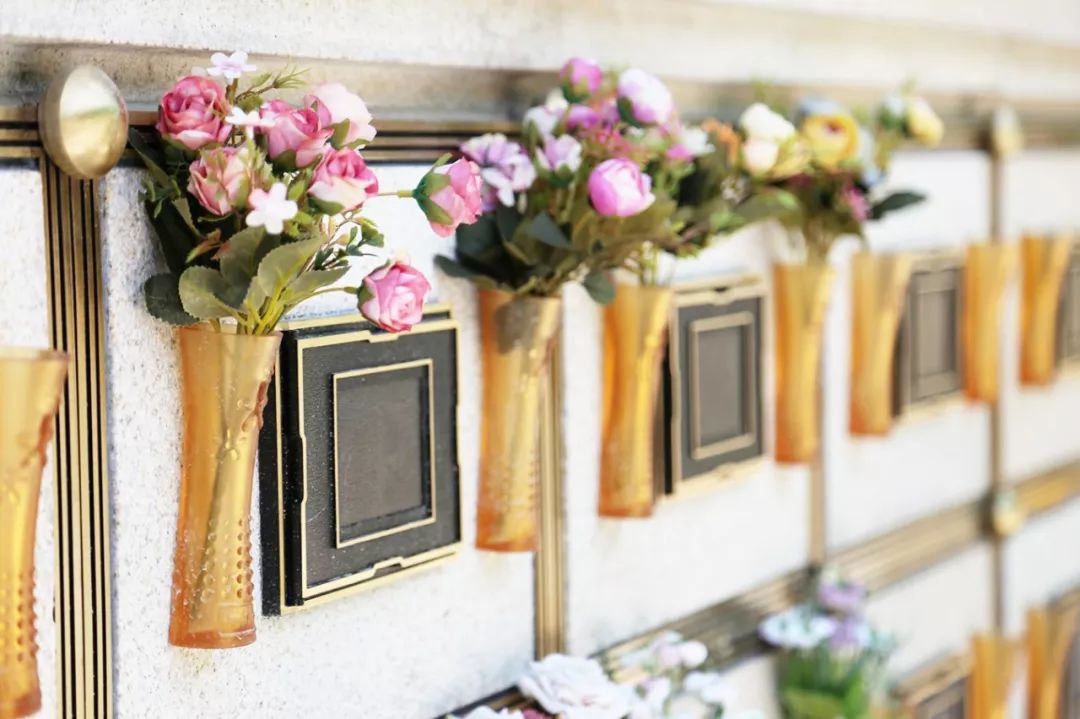 ��ҳ - ���ɱ����ǹ��ʹٷ���վ