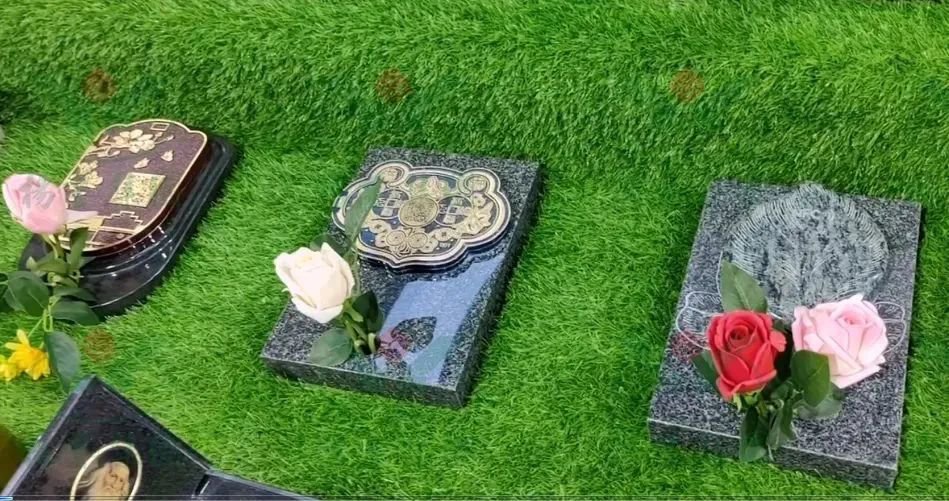 ��ҳ - ���ɱ����ǹ��ʹٷ���վ