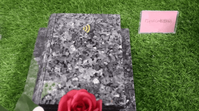 ��ҳ - ���ɱ����ǹ��ʹٷ���վ