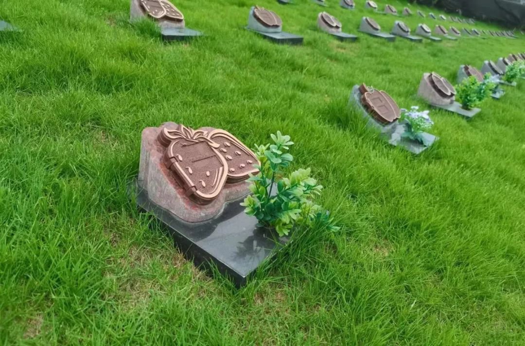 ��ҳ - ���ɱ����ǹ��ʹٷ���վ