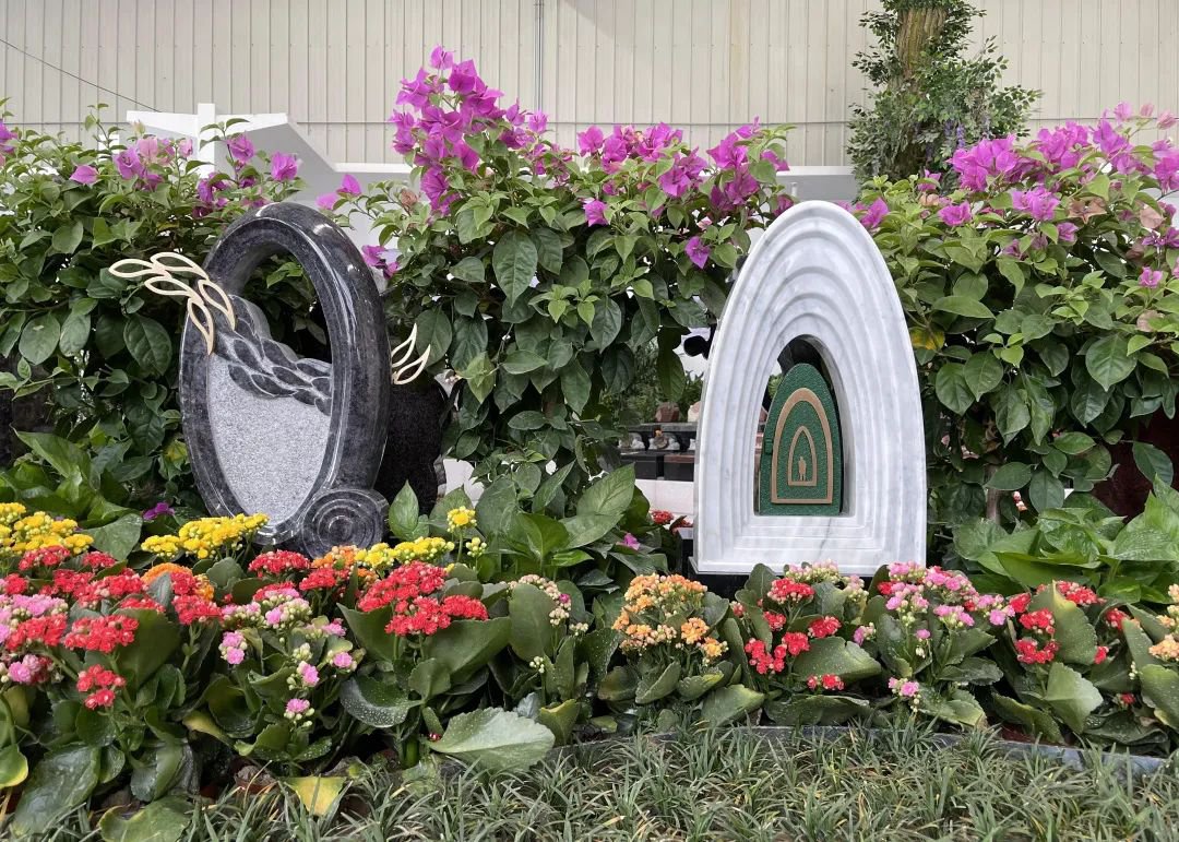 ��ҳ - ���ɱ����ǹ��ʹٷ���վ