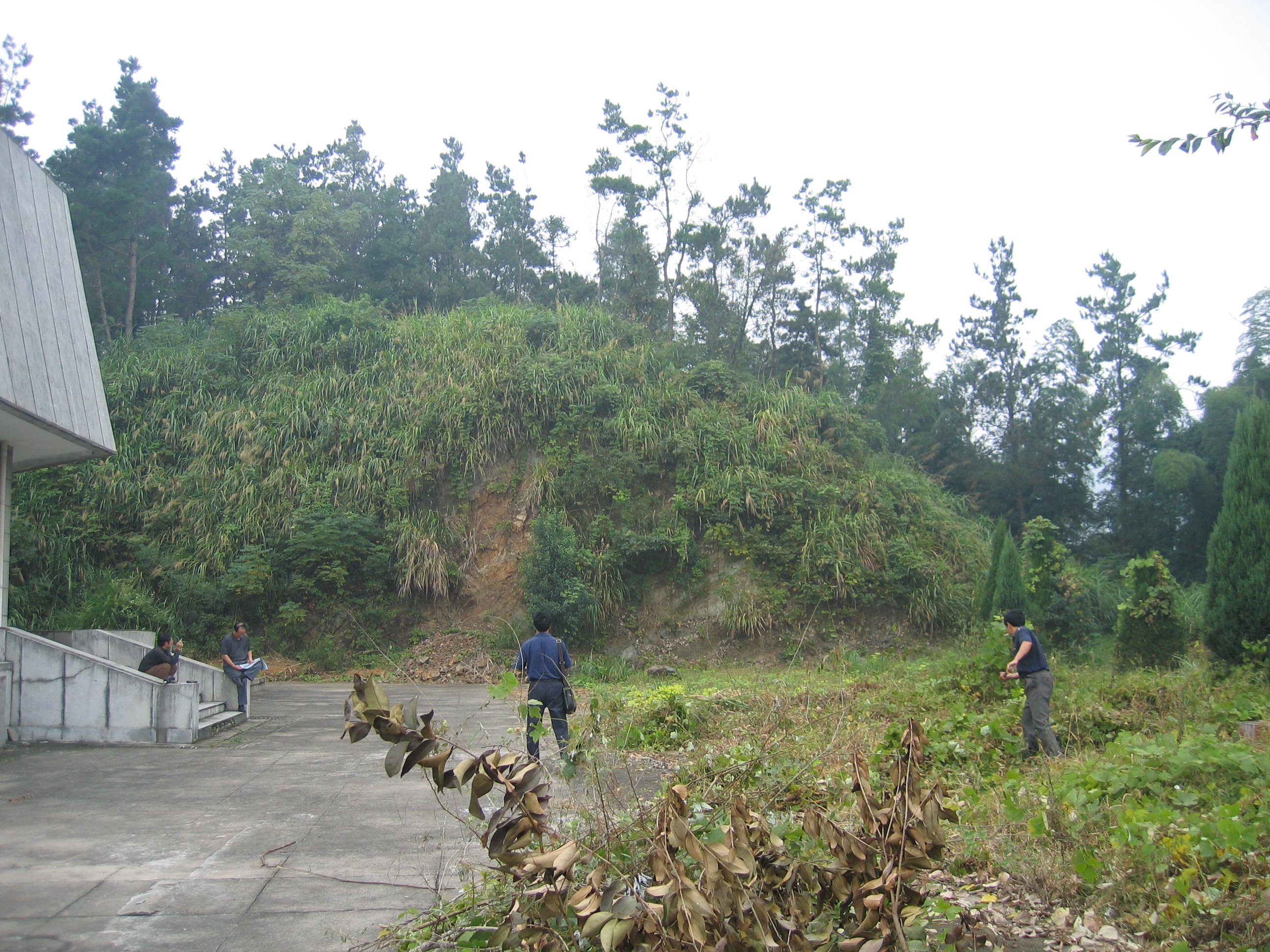 ��ҳ - ���ɱ����ǹ��ʹٷ���վ