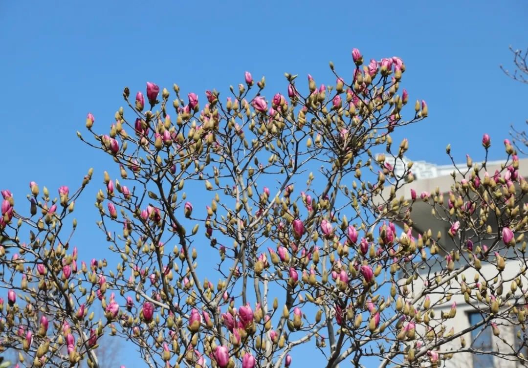 ��ҳ - ���ɱ����ǹ��ʹٷ���վ