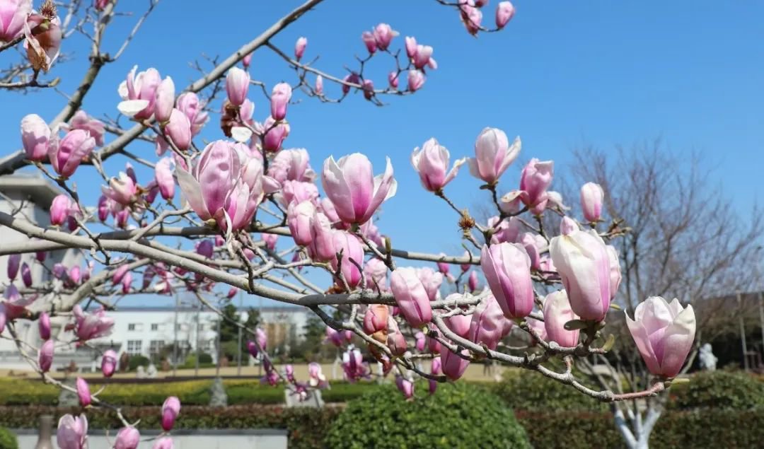 ��ҳ - ���ɱ����ǹ��ʹٷ���վ