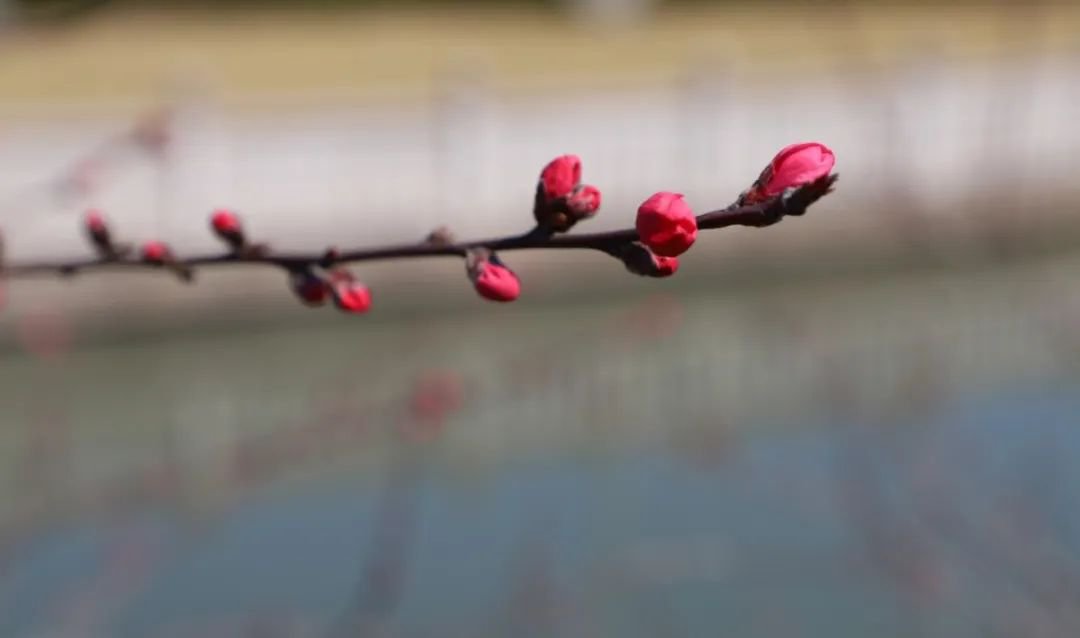 ��ҳ - ���ɱ����ǹ��ʹٷ���վ