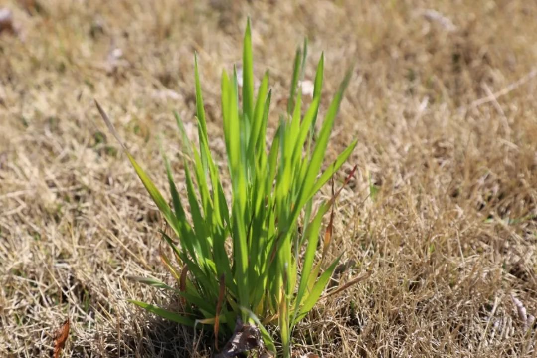 ��ҳ - ���ɱ����ǹ��ʹٷ���վ