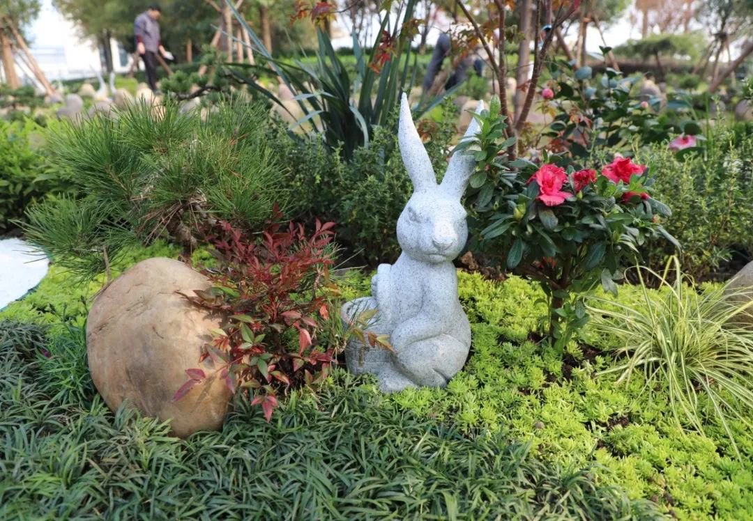 ��ҳ - ���ɱ����ǹ��ʹٷ���վ