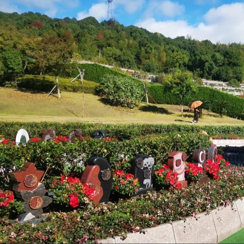 ��ҳ - ���ɱ����ǹ��ʹٷ���վ