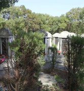 ��ɫ��̬�᣺�Ļ���������ɫѡ��