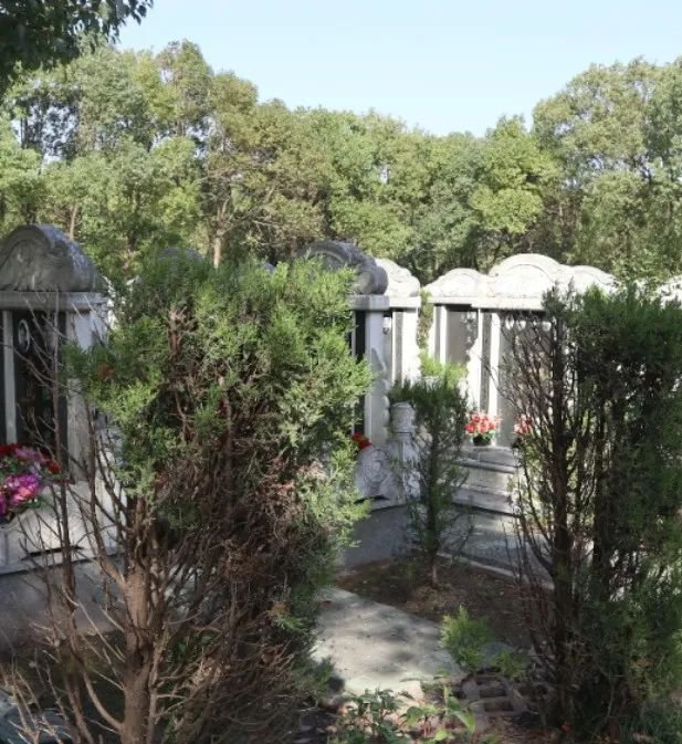 ��ҳ - ���ɱ����ǹ��ʹٷ���վ