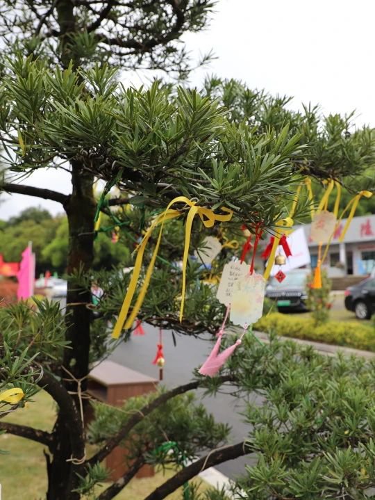 ��ҳ - ���ɱ����ǹ��ʹٷ���վ