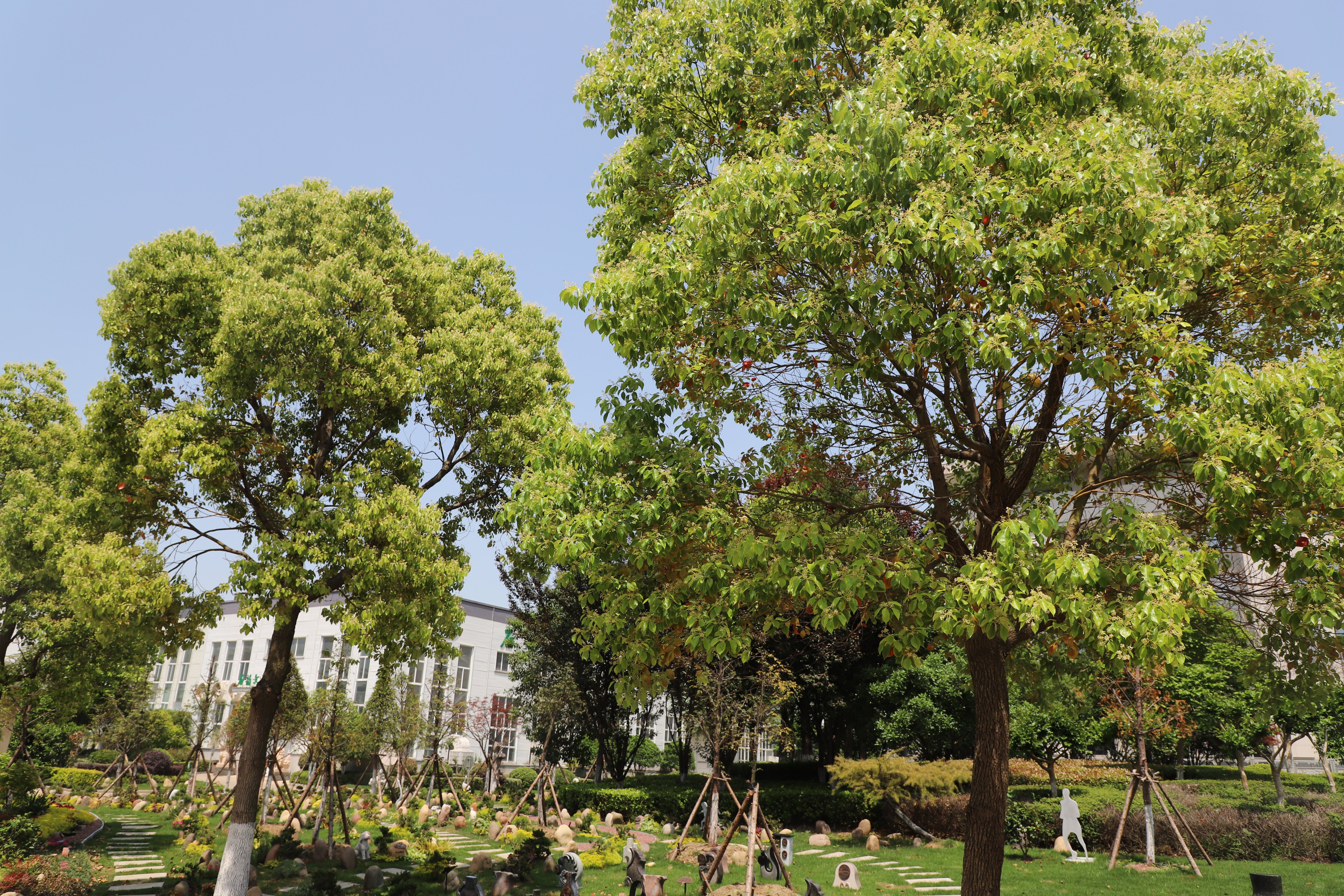 ��ҳ - ���ɱ����ǹ��ʹٷ���վ