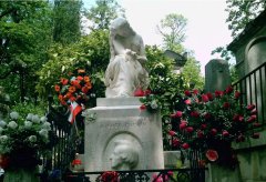 Ĺ԰���ܣ��Կ�����ľ�Ĭʫƪ