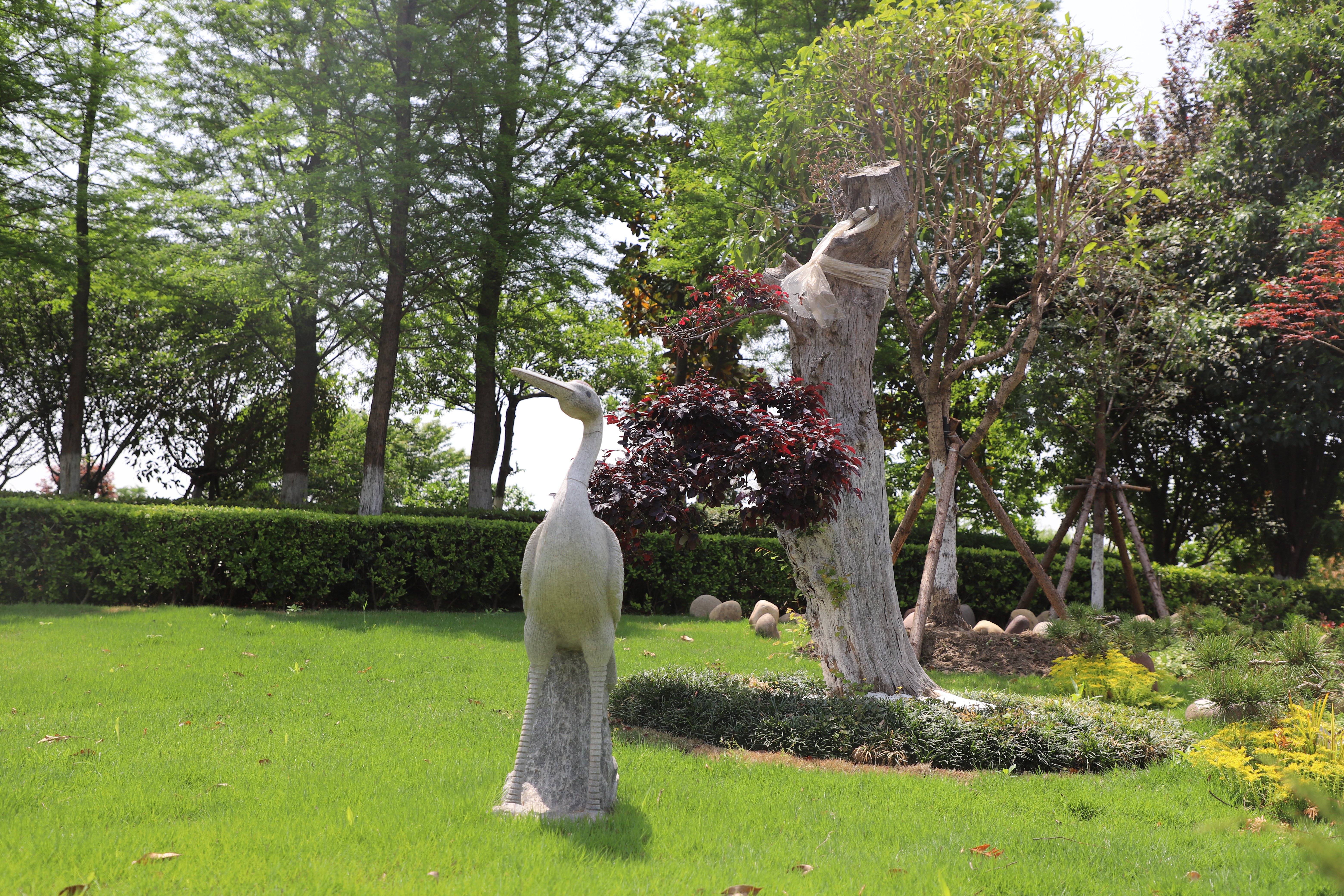 ��ҳ - ���ɱ����ǹ��ʹٷ���վ