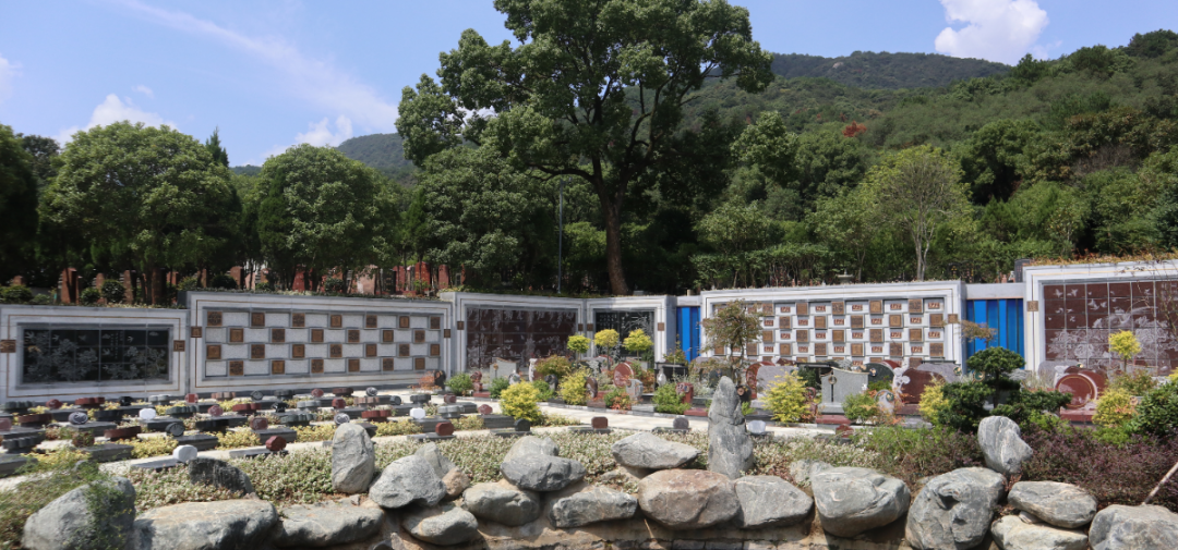 ��ҳ - ���ɱ����ǹ��ʹٷ���վ