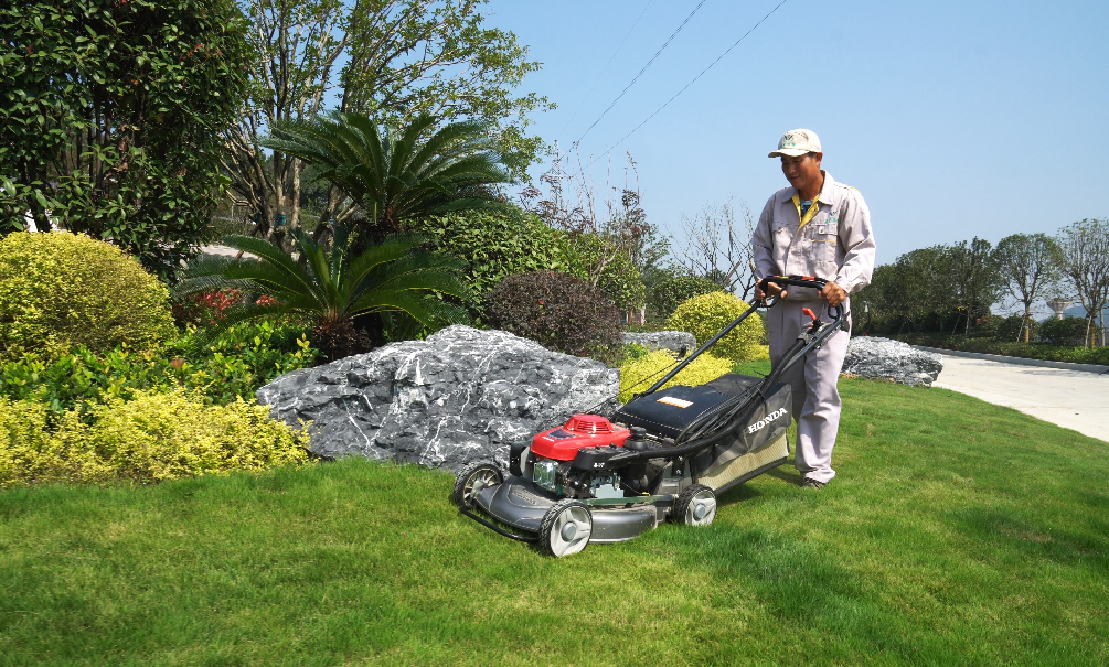 ��ҳ - ���ɱ����ǹ��ʹٷ���վ