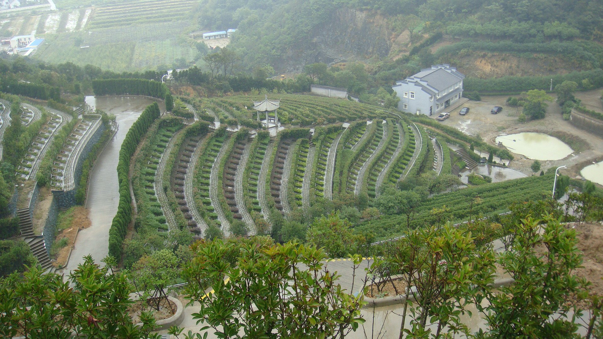 ��ҳ - ���ɱ����ǹ��ʹٷ���վ