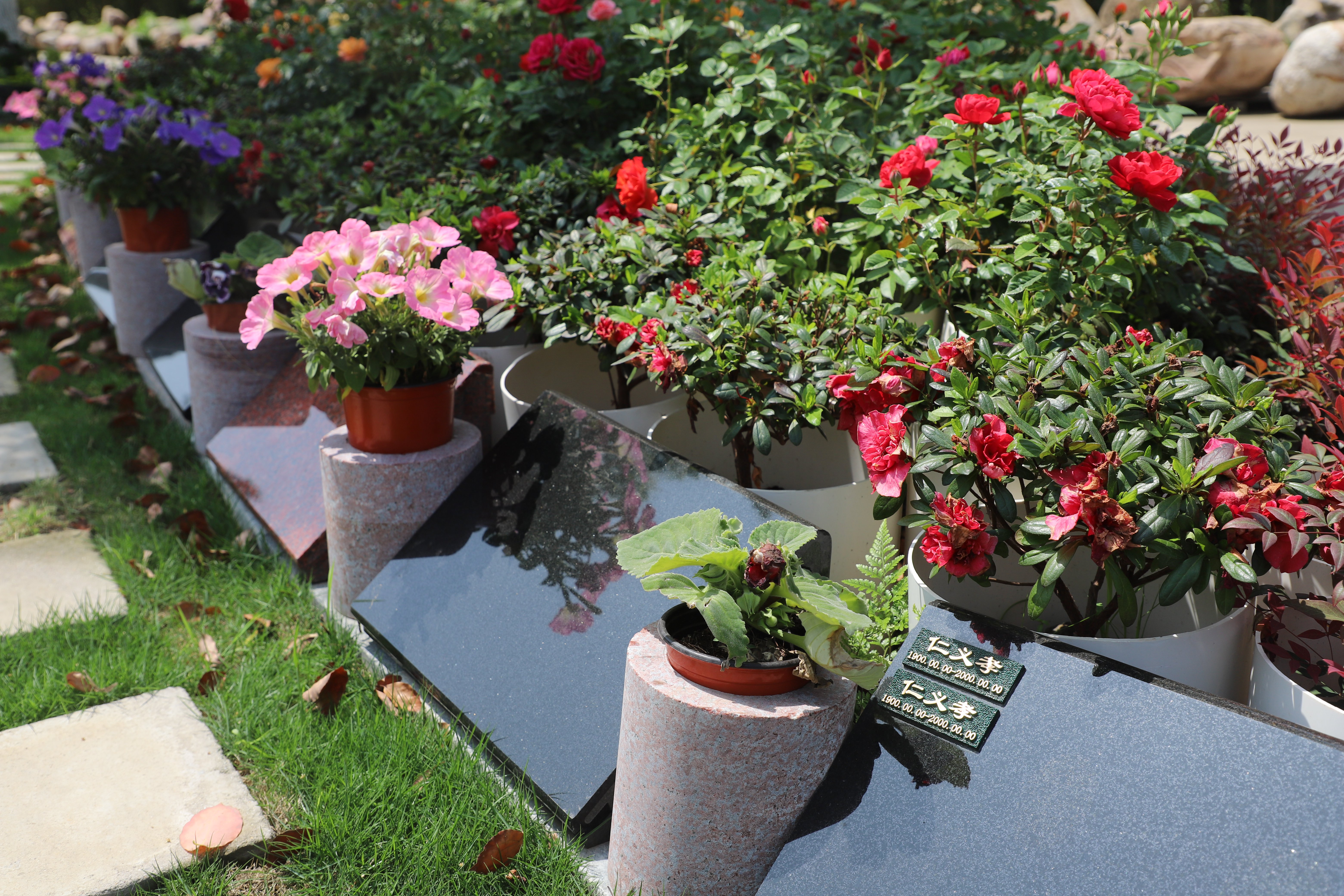 ��ҳ - ���ɱ����ǹ��ʹٷ���վ