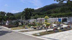 ��̬����������������������