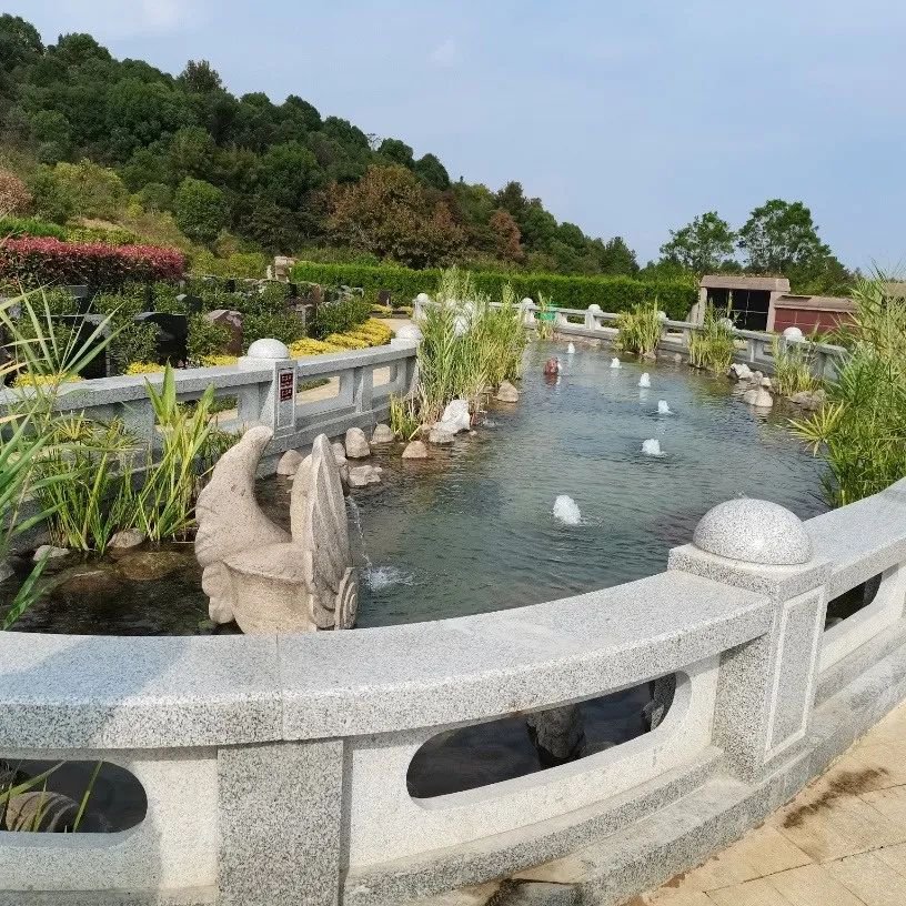 ��ҳ - ���ɱ����ǹ��ʹٷ���վ