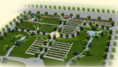 ���ĺ������������»���