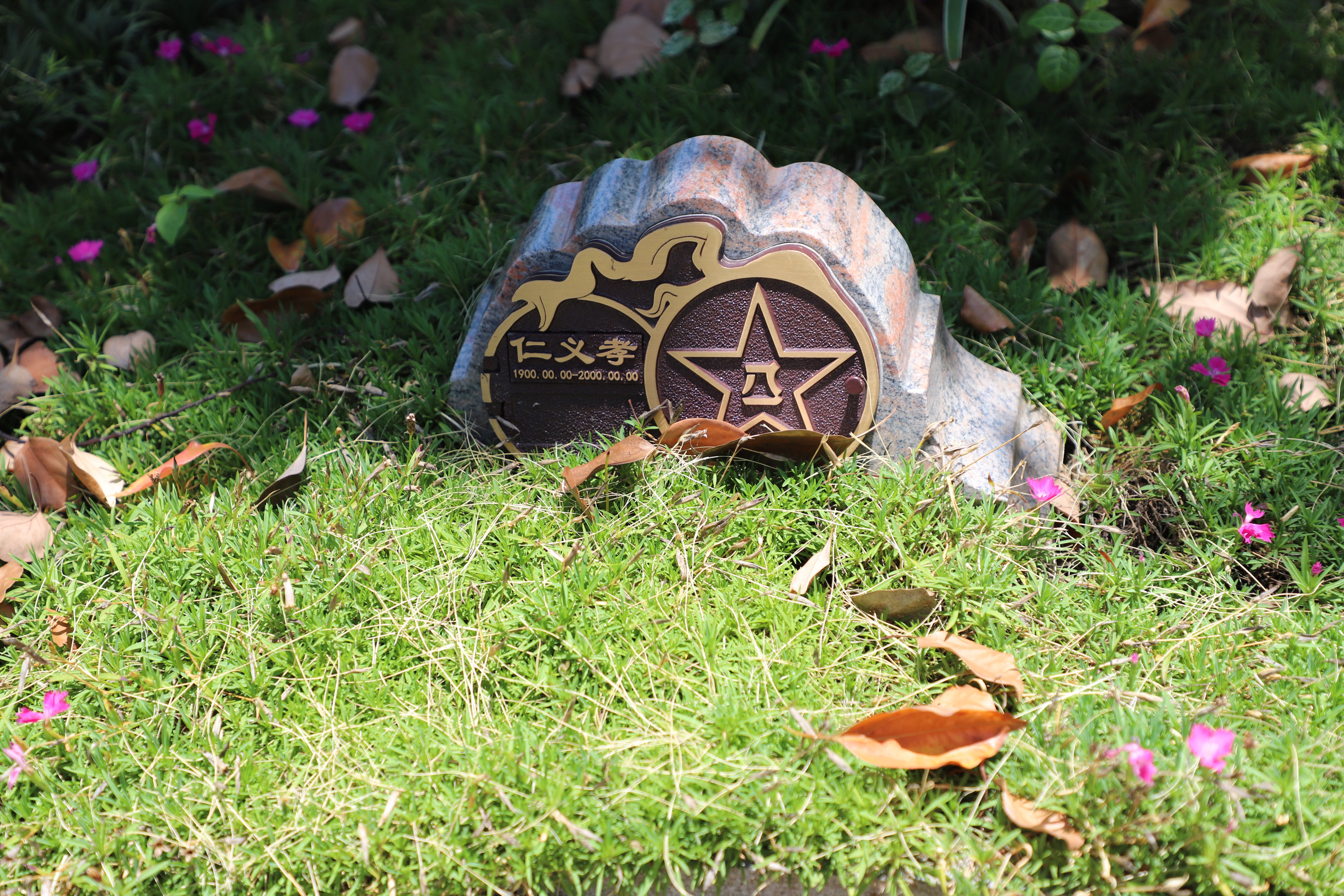 ��ҳ - ���ɱ����ǹ��ʹٷ���վ