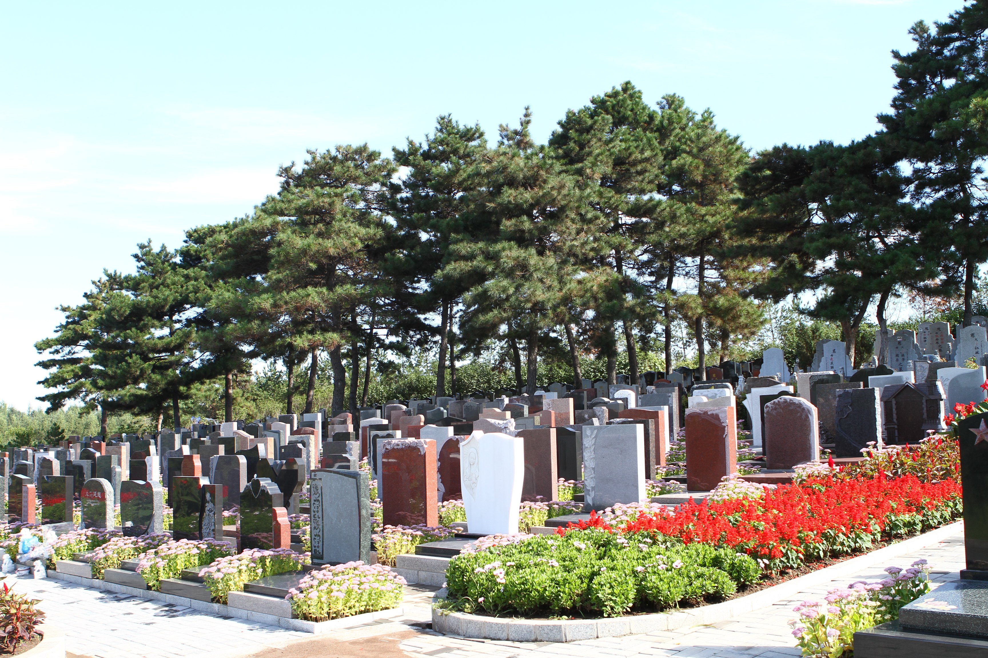 ��ҳ - ���ɱ����ǹ��ʹٷ���վ