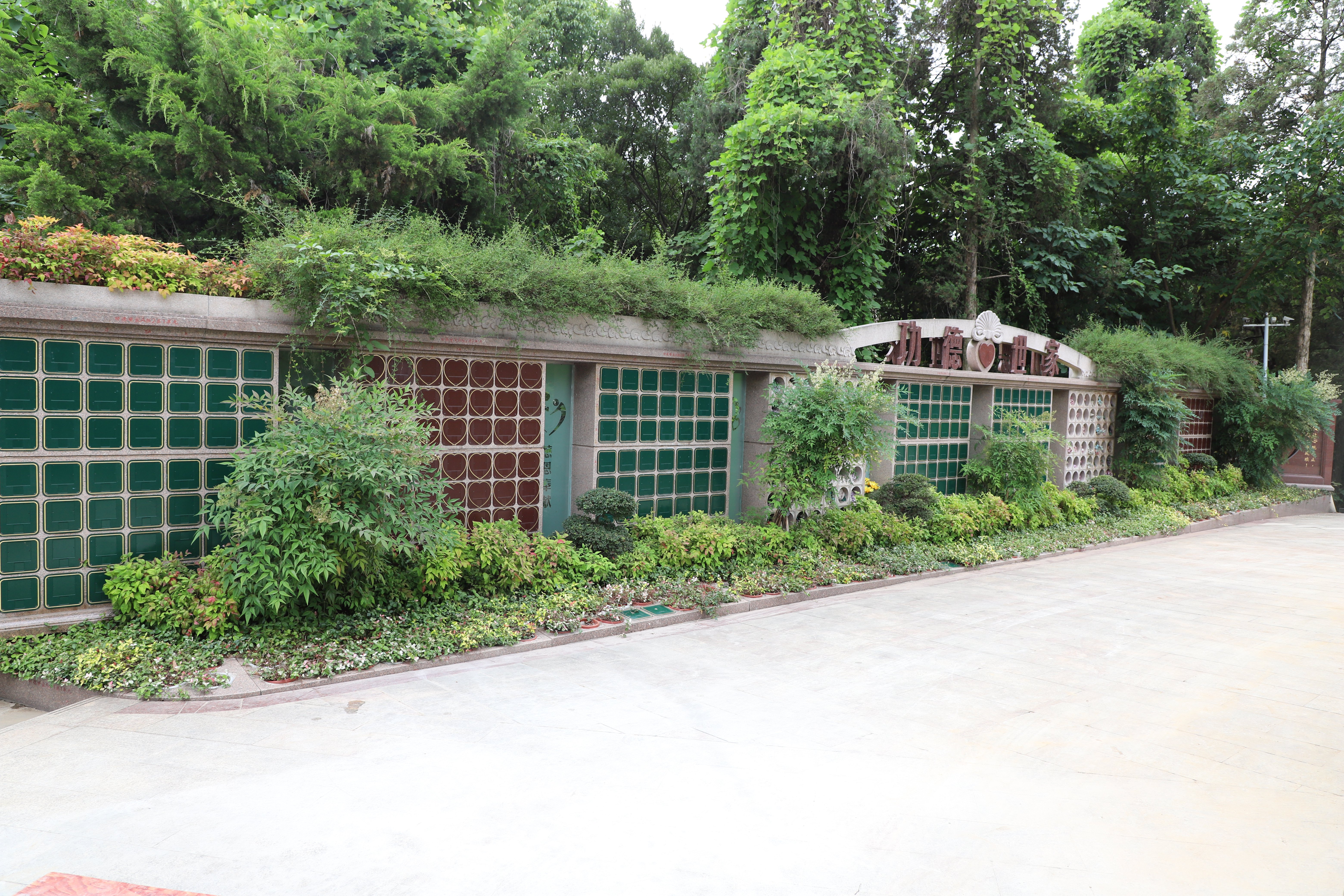 ��ҳ - ���ɱ����ǹ��ʹٷ���վ