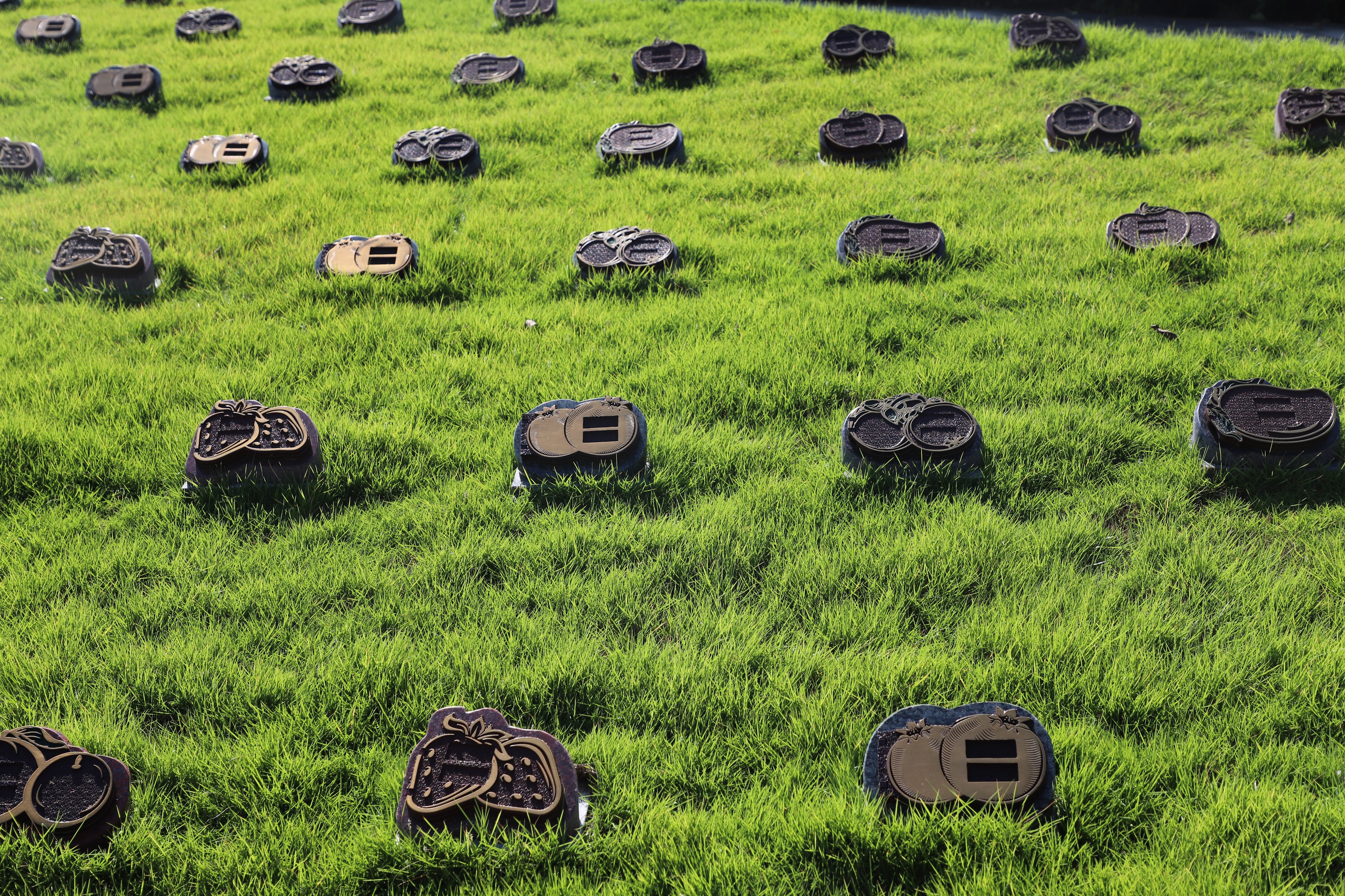 ��ҳ - ���ɱ����ǹ��ʹٷ���վ