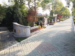 �������һƽ�ף���̬����������Ȼ�ĺͽ����������ε�ѡ����