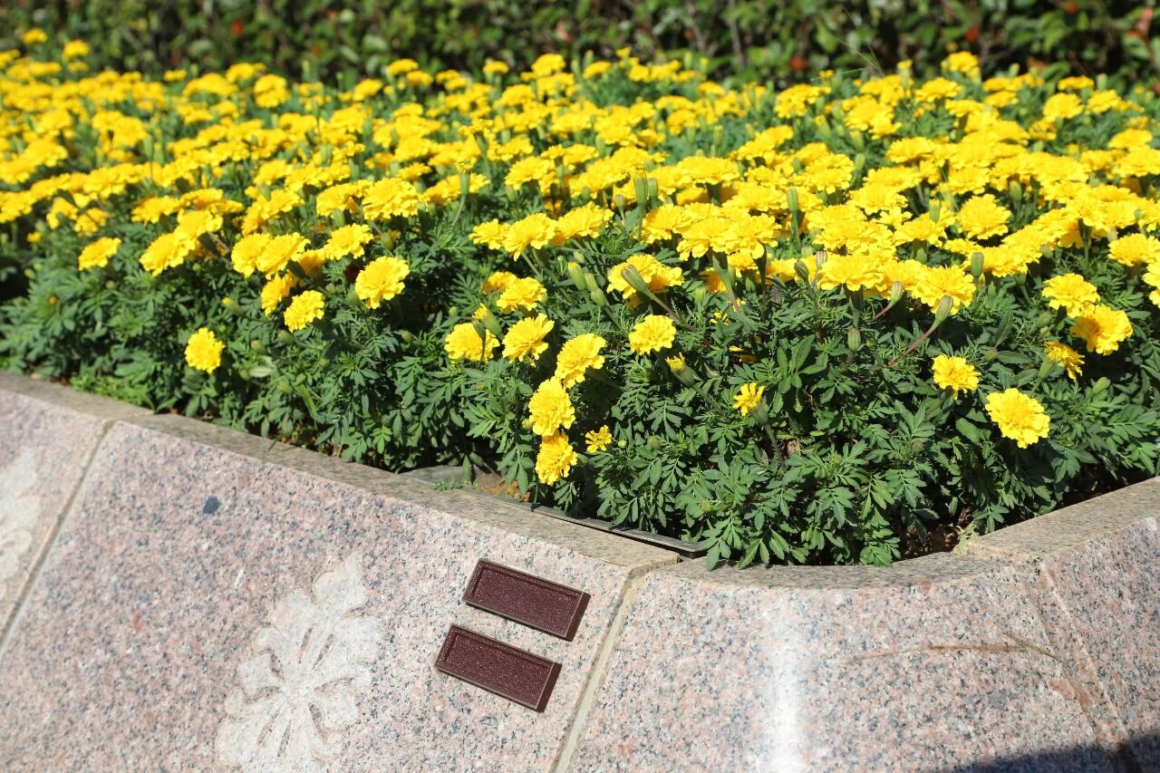 ��ҳ - ���ɱ����ǹ��ʹٷ���վ