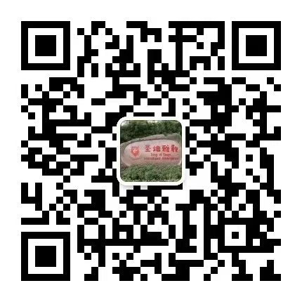 ��ҳ - ���ɱ����ǹ��ʹٷ���վ